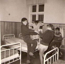 Beispielbild