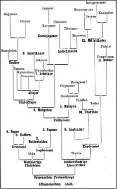 Beispielbild