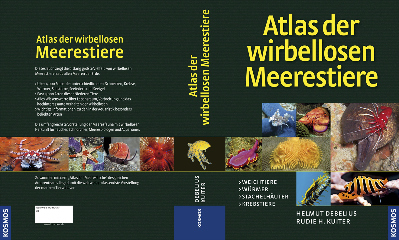 Atlas der wirbellosen Meerestiere