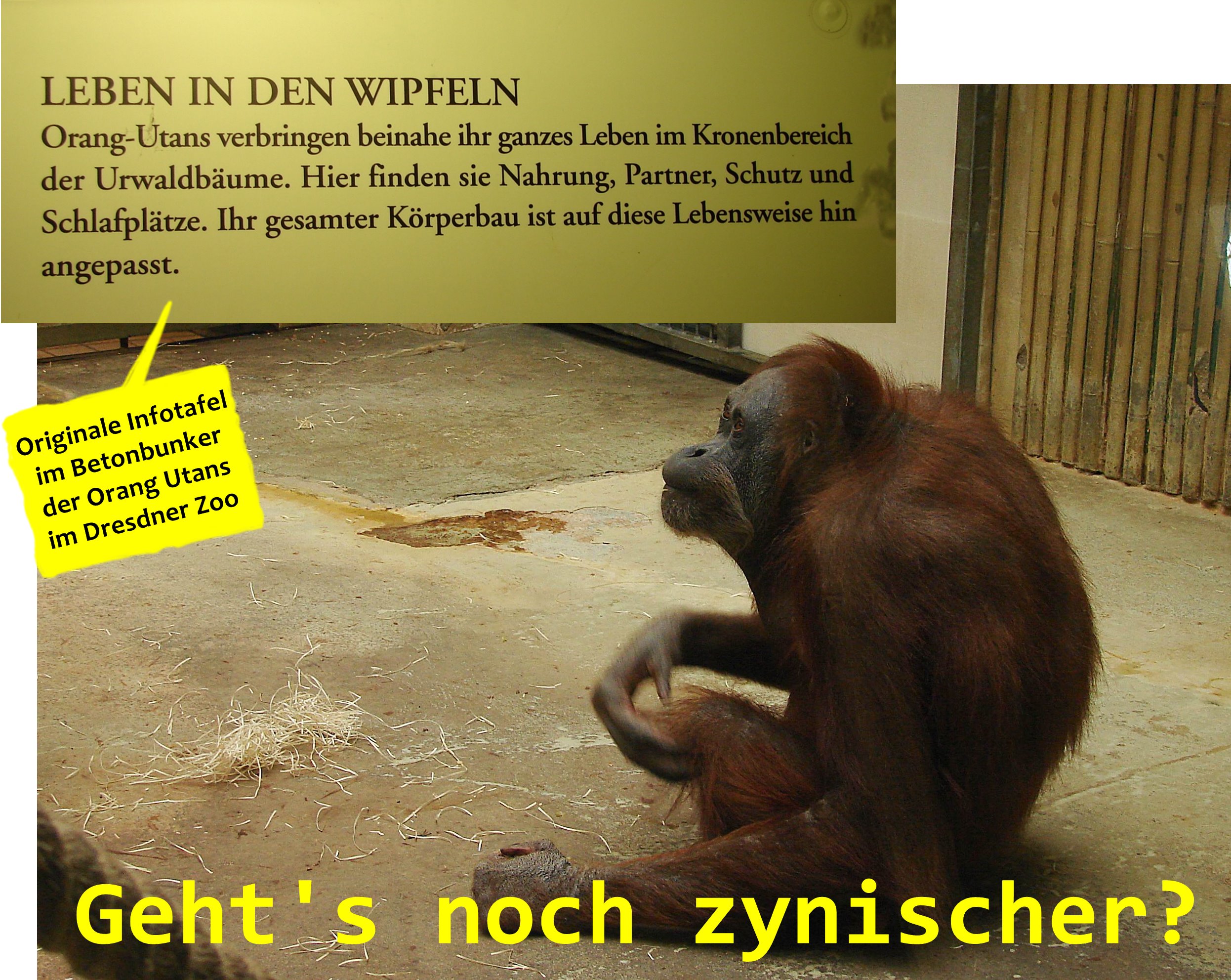 Foto: © Archiv GAP