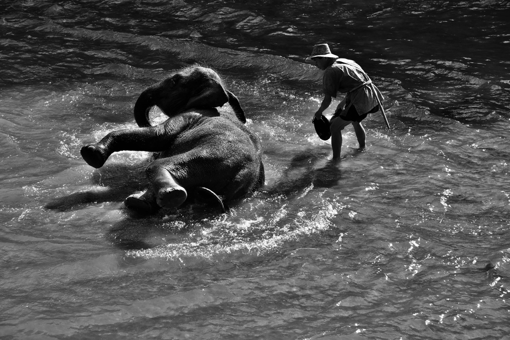 Die Investition muss erhalten bleiben: Baden im Fluss. 