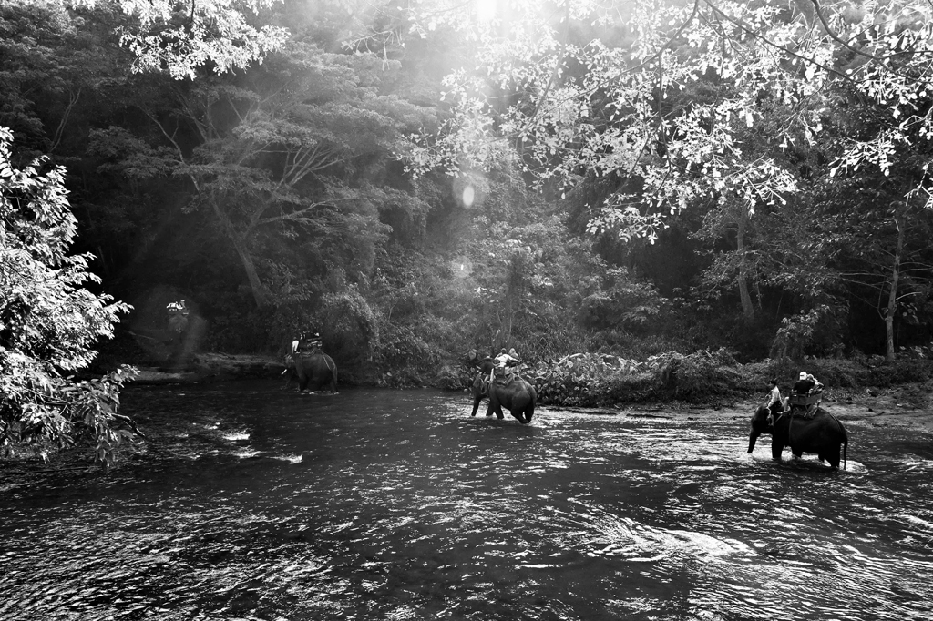 Die Touristenattraktion: Elefantenreiten durch den Urwald.