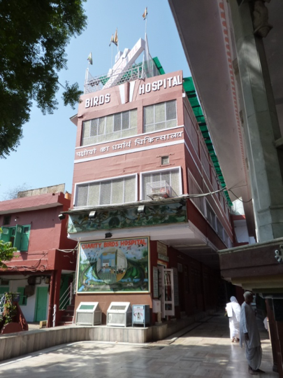 Vogelkrankenhaus von Delhi (Oktober 2011) ©K. Akerma