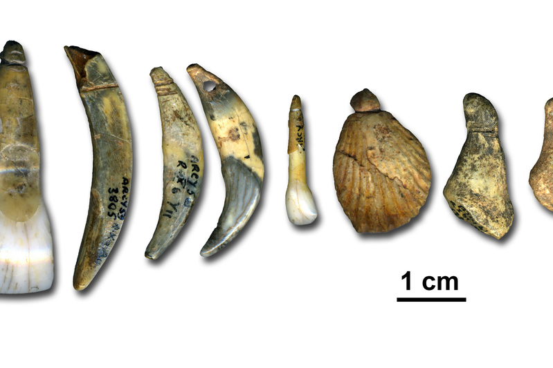 Körperschmuck aus der Grotte du Renne