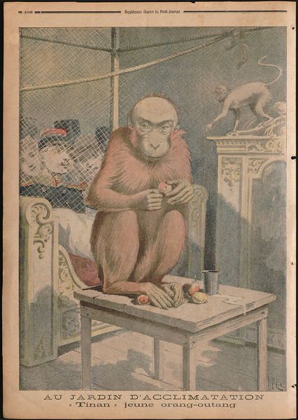 Henri Meyer - 1844 - 1899 Farblithographie aus dem Petit Journale
