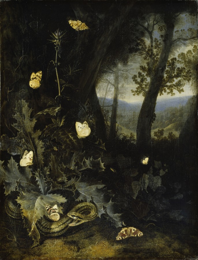Otto- Marseus van Schrieck - Waldboden mit Distel und Schlange - Staatliches Museum Schwerin