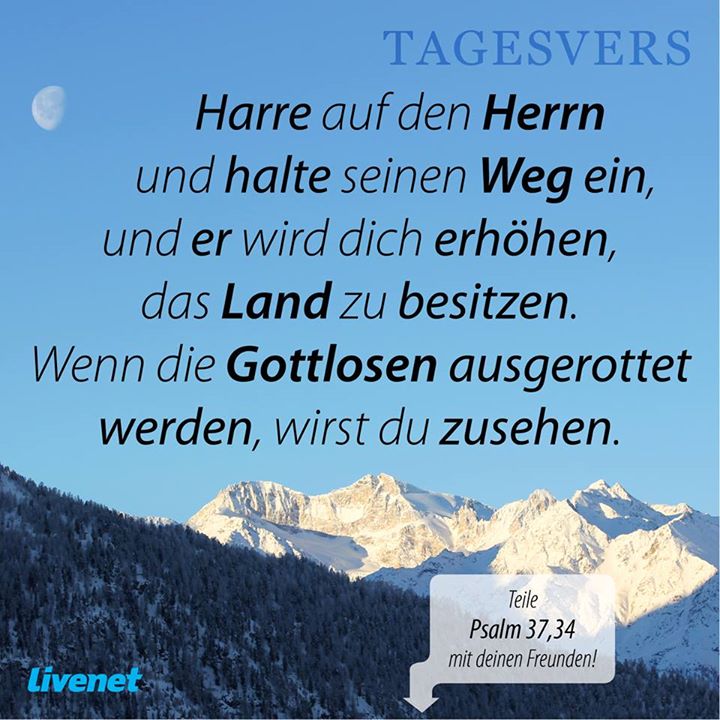 Livenet-Tagesvers vom 4.12.2015