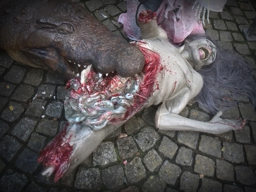 Beispielbild