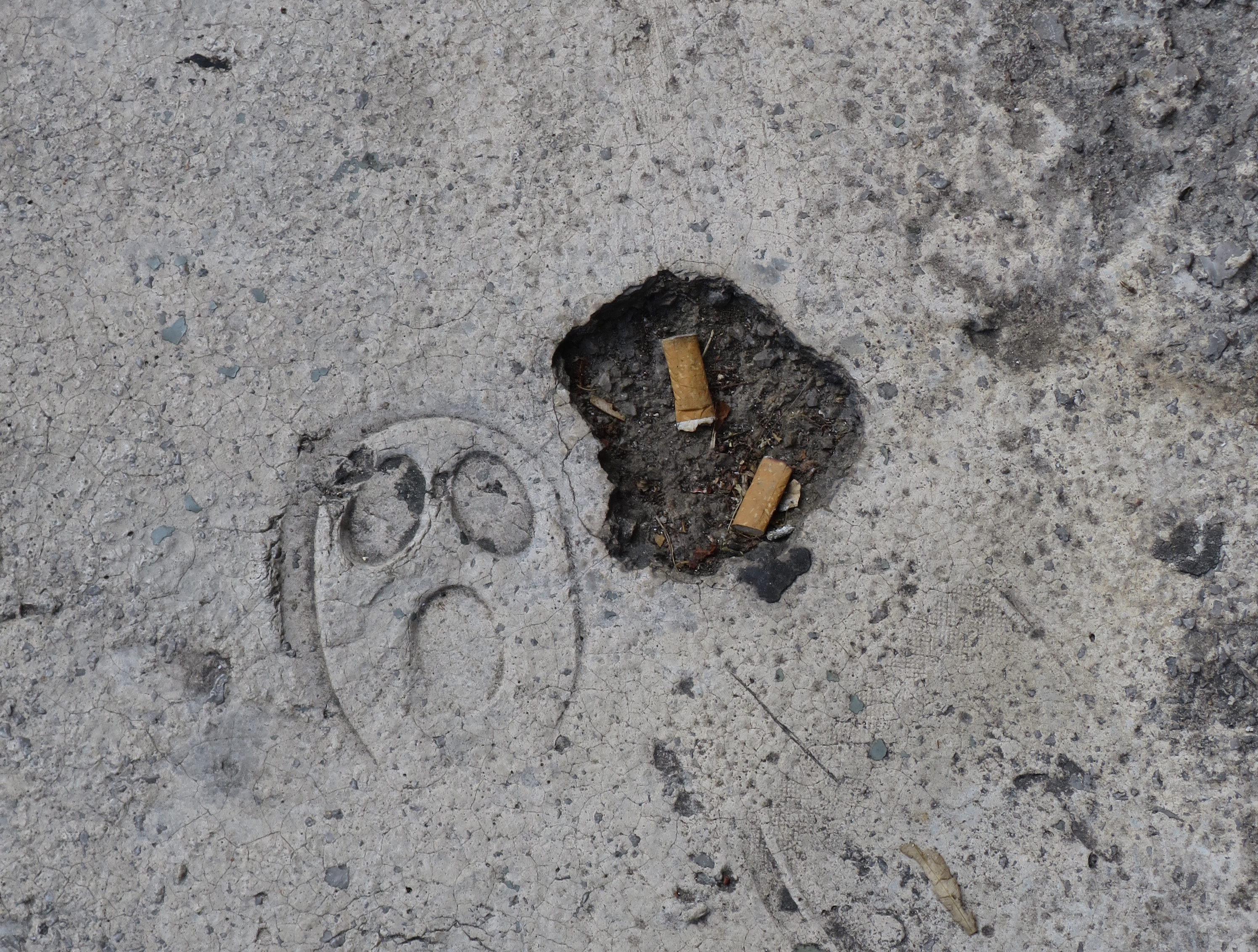 Ein "Gesicht", Foto: © A. Hauk