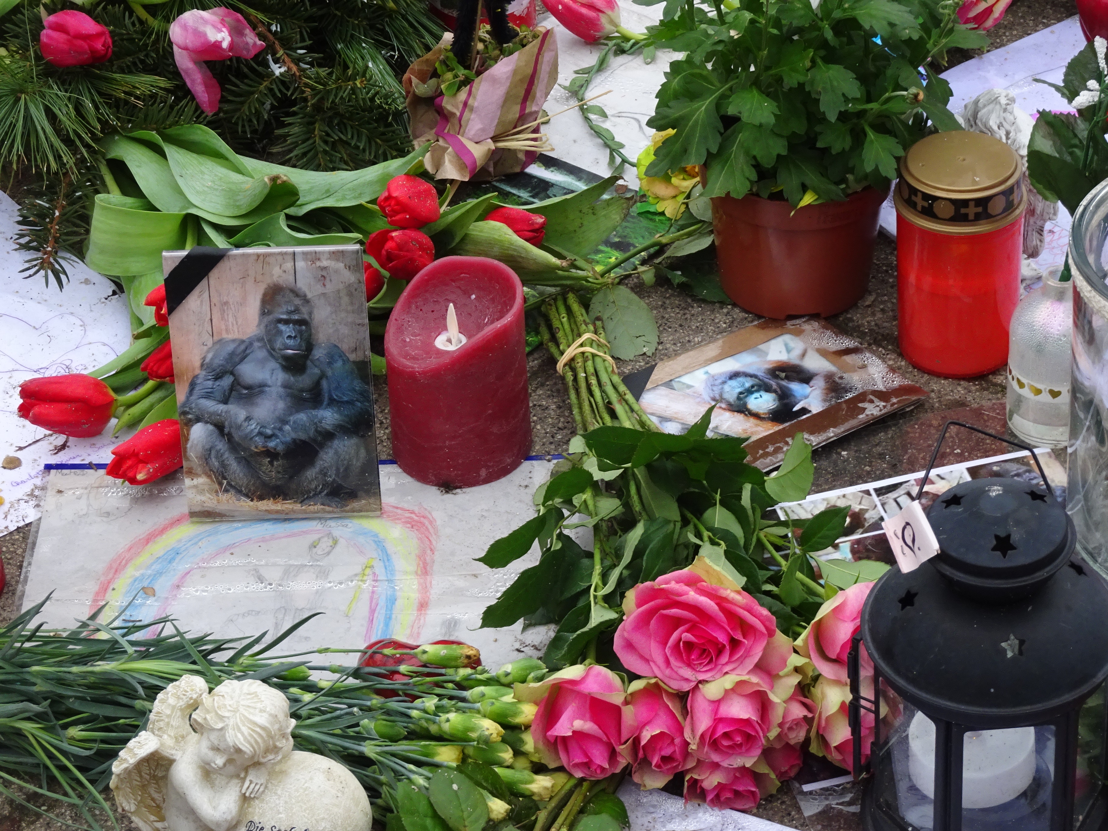 Blumen und Grablaternen vor dem Zoo, Foto: GAP