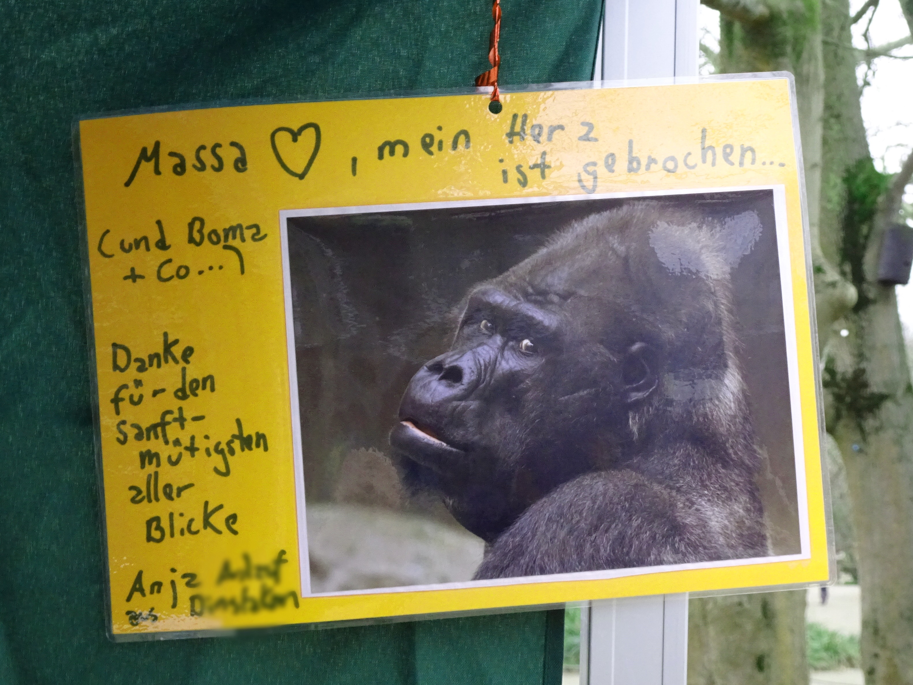 Letzter Gruß, Foto: GAP