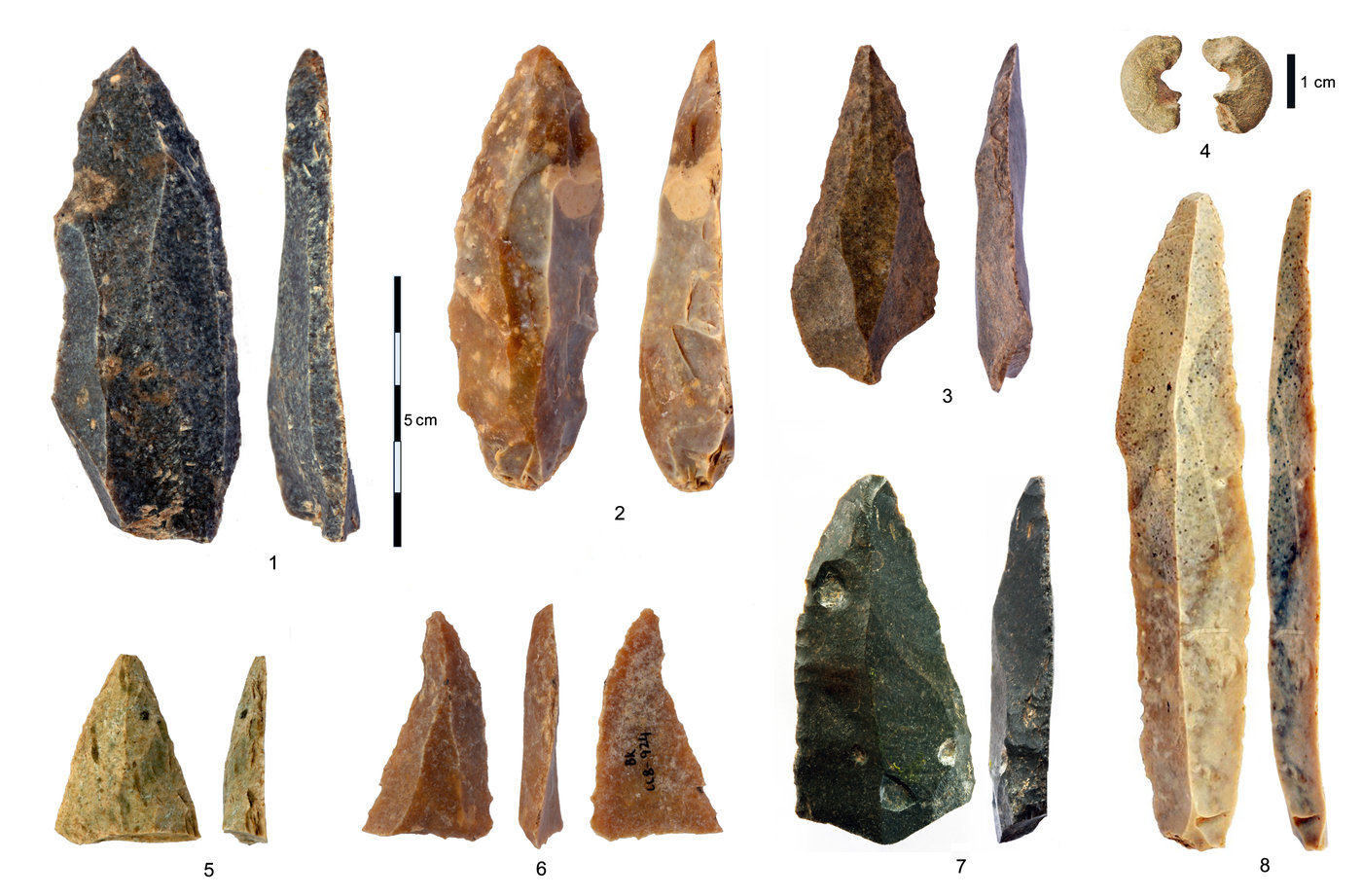 Steinartefakte aus dem frühen Jungpaläolithikum (IUP) aus der Bacho-Kiro-Höhle:&nbsp;1-3,&nbsp;5-7&nbsp;spitze Klingen und Fragmente aus Schicht I;&nbsp;4&nbsp;Sandsteinperle, deren Gestalt Knochenperlen ähnelt;&nbsp;8&nbsp;die längste vollständige Klinge. / Foto:&nbsp;© Tsenka Tsanova, Lizenz: CC-BY-SA 2.0