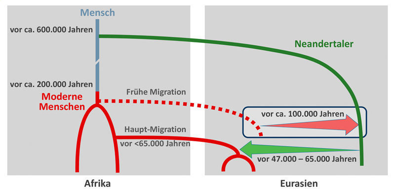 Szenario für die Vermischung zwischen modernen Menschen und Neandertalern, Grafik:&nbsp;© Ilan Gronau