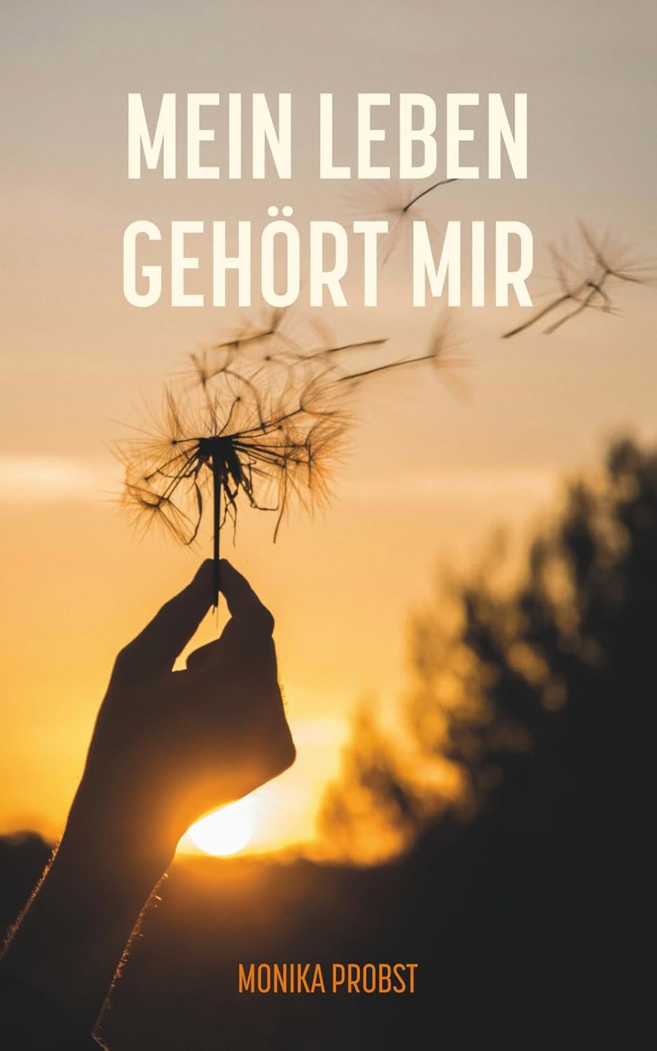 geringfügigen