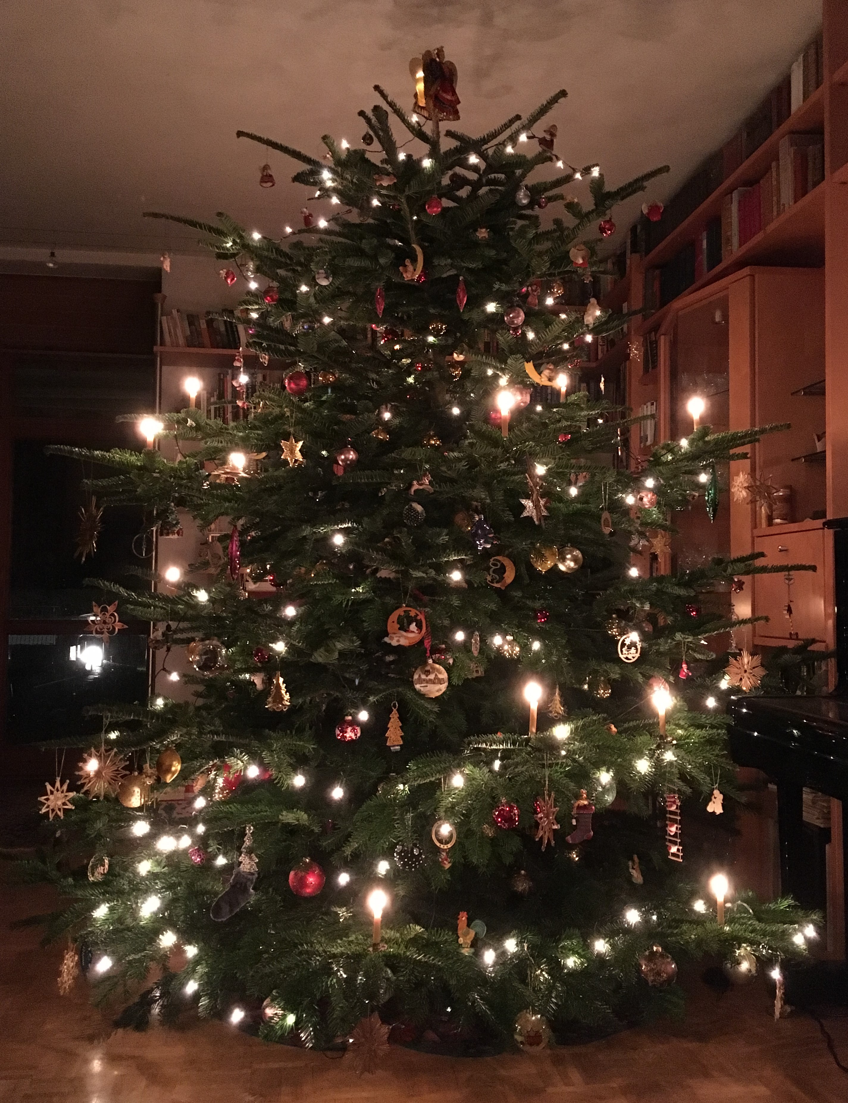 heutiger Weihnachtsbaum