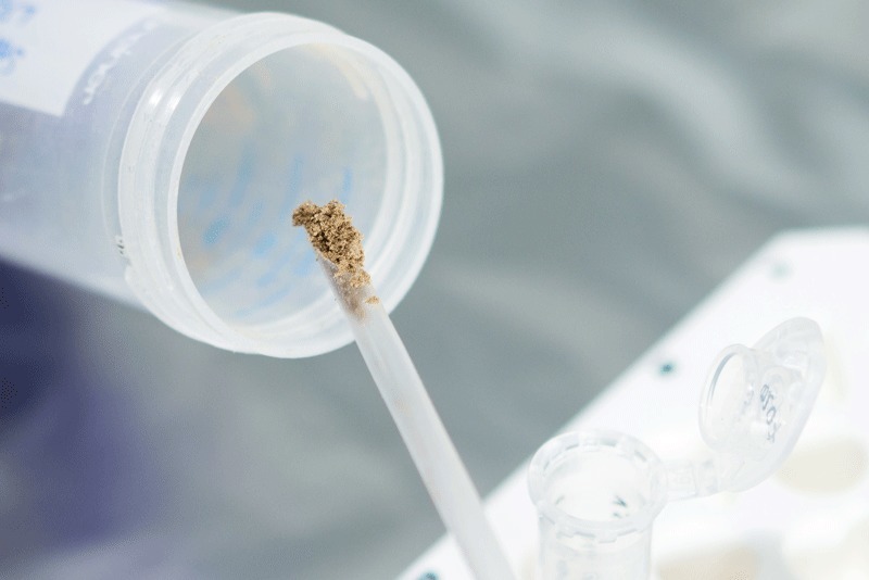 Ob eine Bodenprobe Erbgut-Spuren enthält zeigt erst die Analyse im Labor. © MPI f. evolutionäre Anthropologie/ S. Tüpke