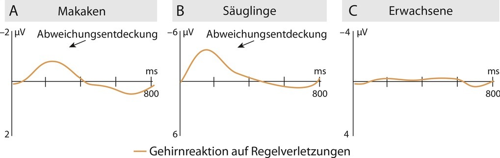 Schematische Darstellung der elektrischen Hirnaktivitä