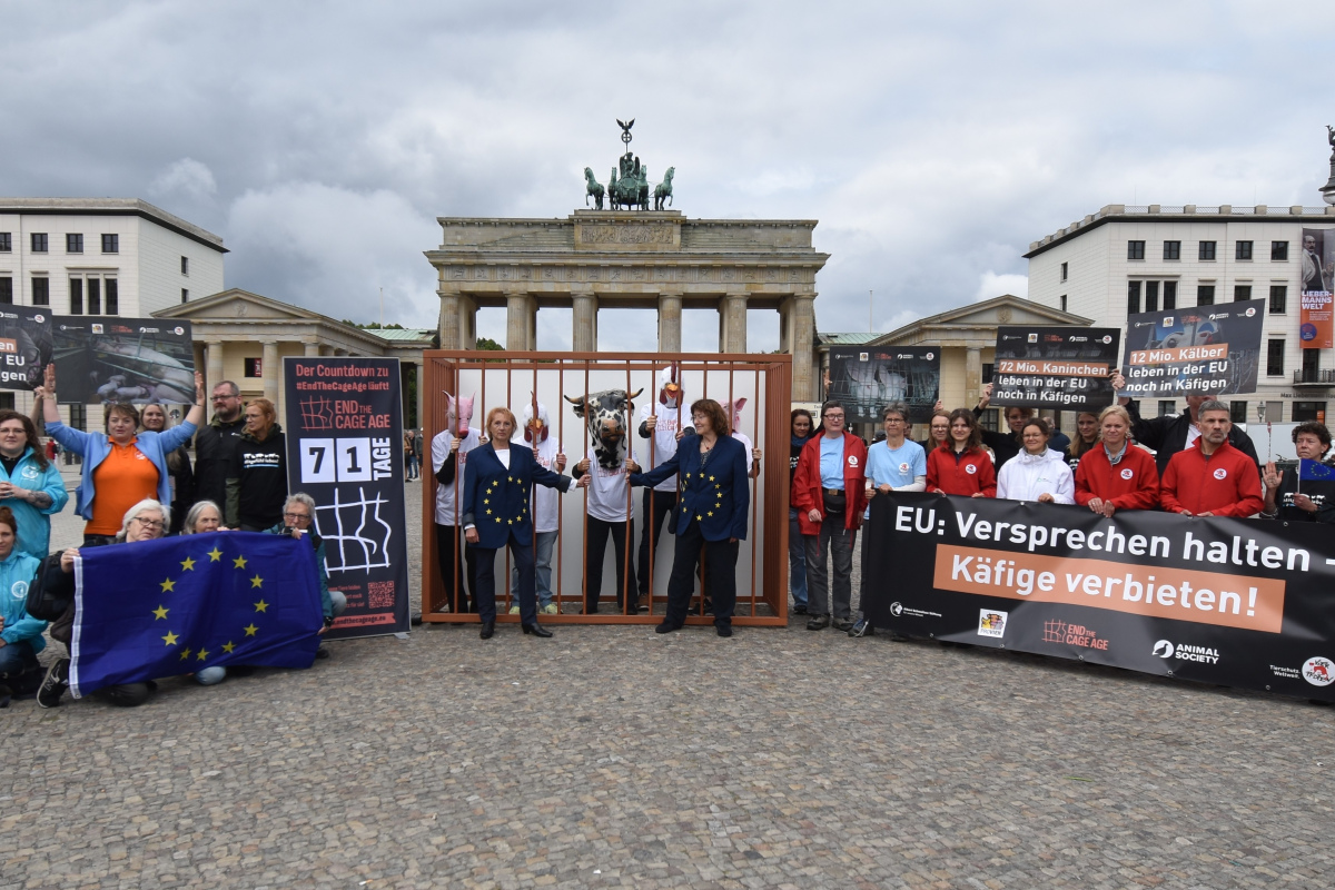 Demo gegen Käfighaltung vor dem Brandenburger Tor