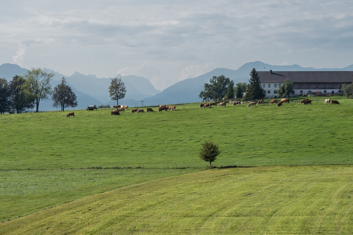 Bauernhof in in Penzberg-Oberhof