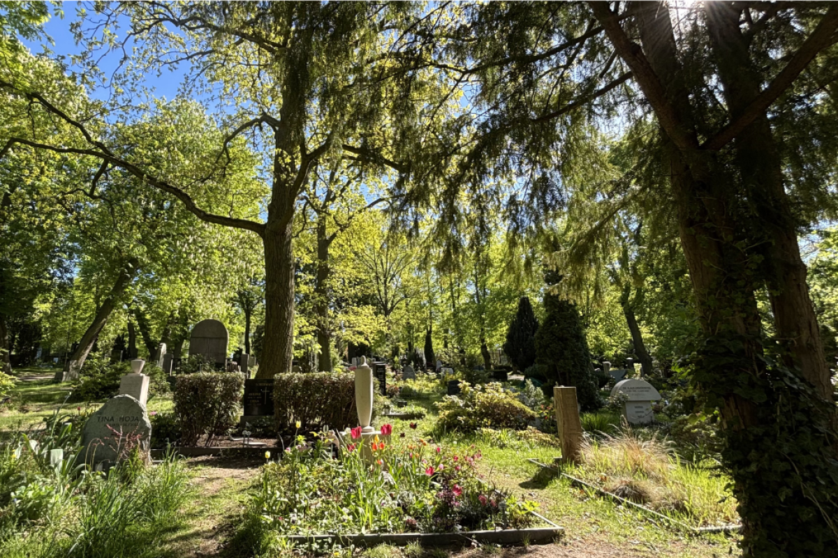 Friedhof