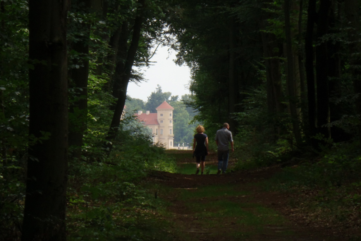 Waldweg zum See 