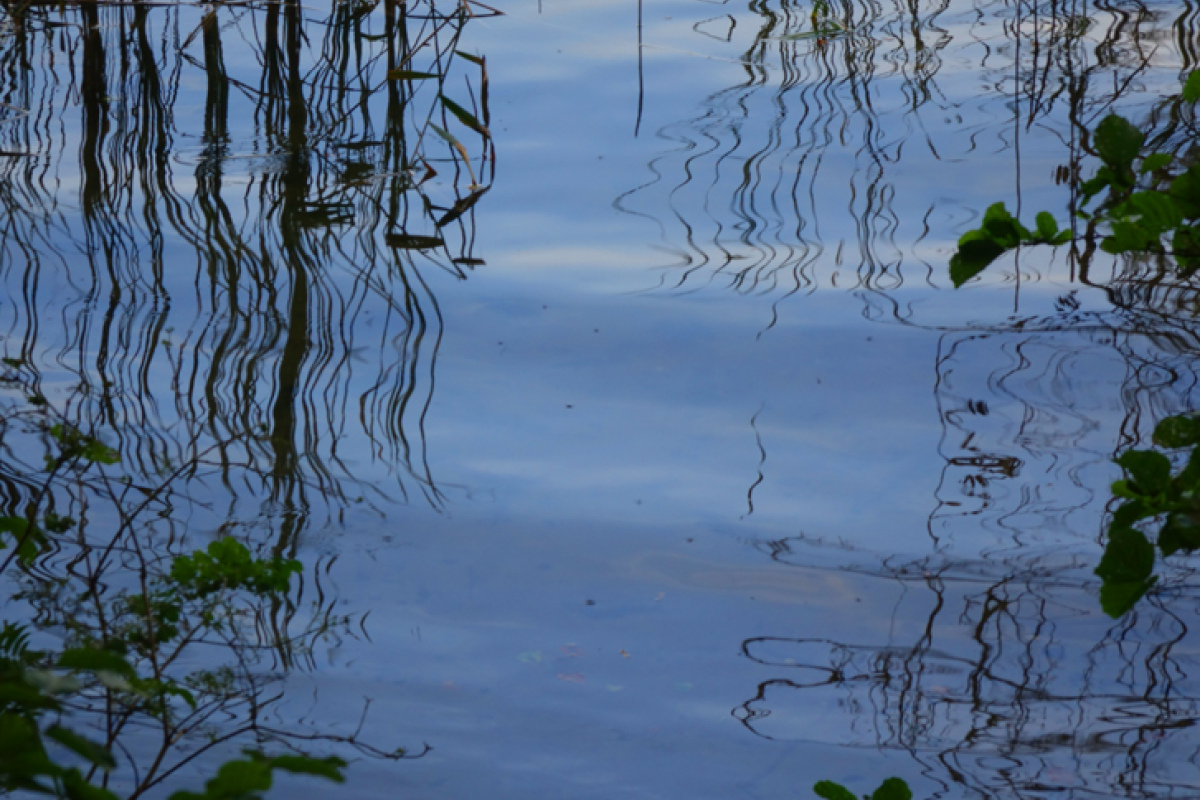 Der See von Rheinsberg
