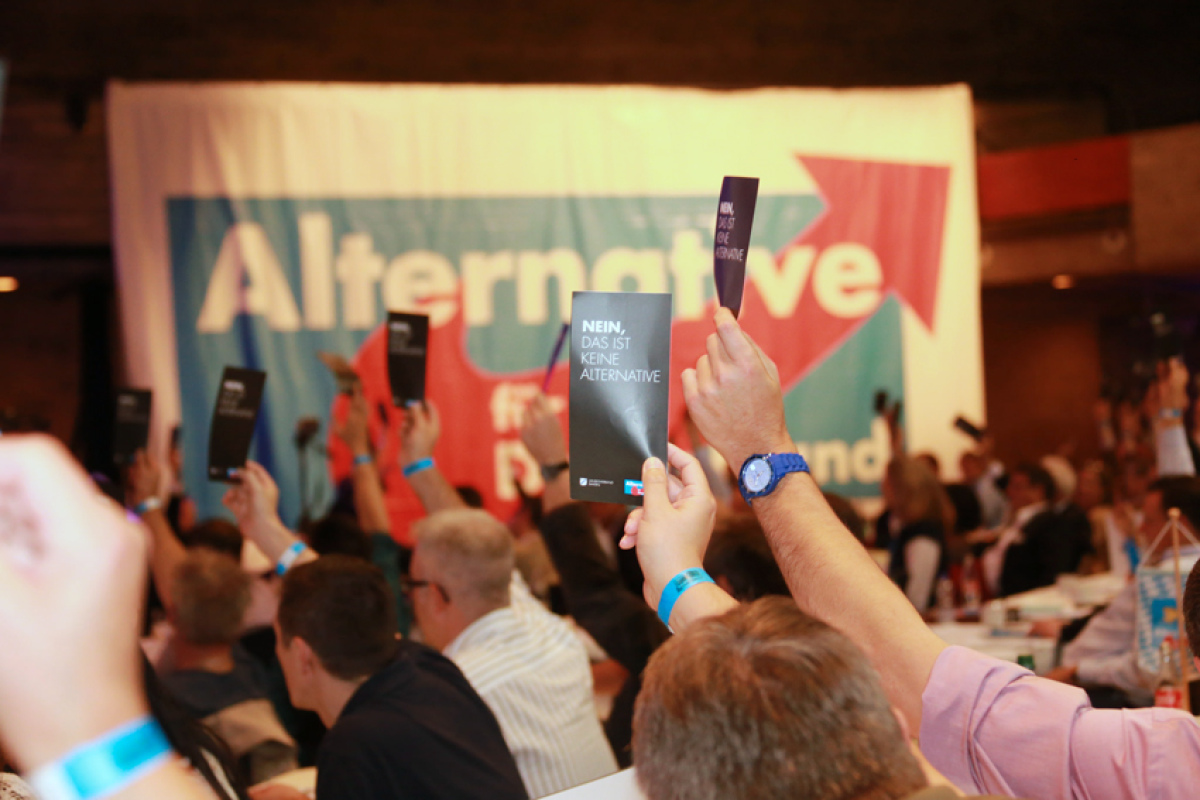 Abstimmung bei der AfD