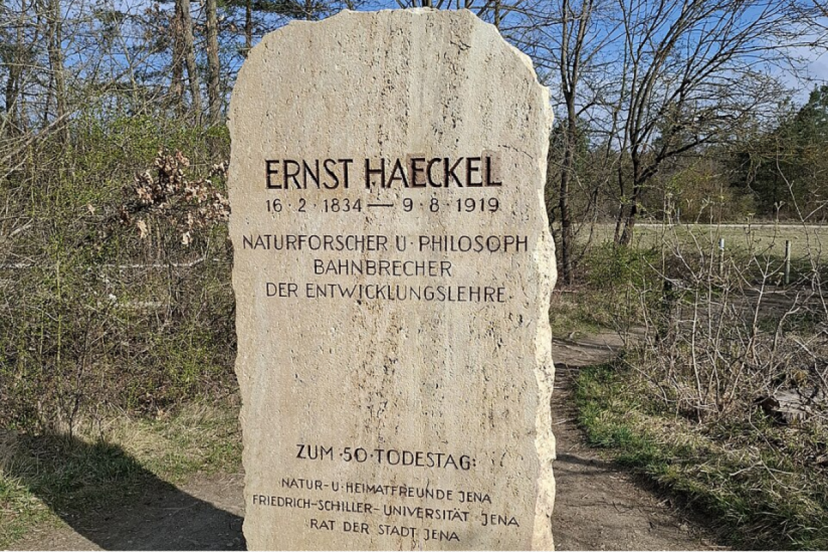 Der sogenannte "Haeckelstein" in Jena
