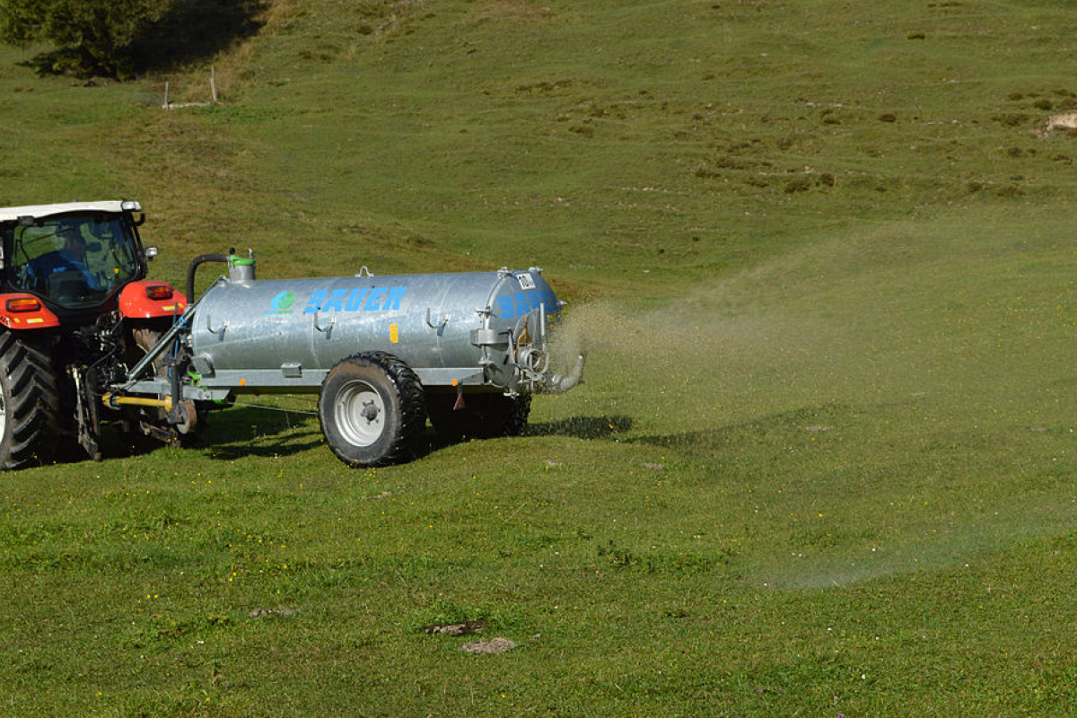 Über die Gülle gelangt Nitrat ins Grundwasser.