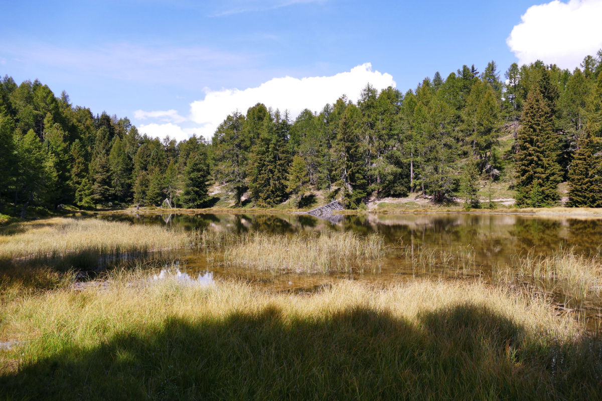 Hochmoor
