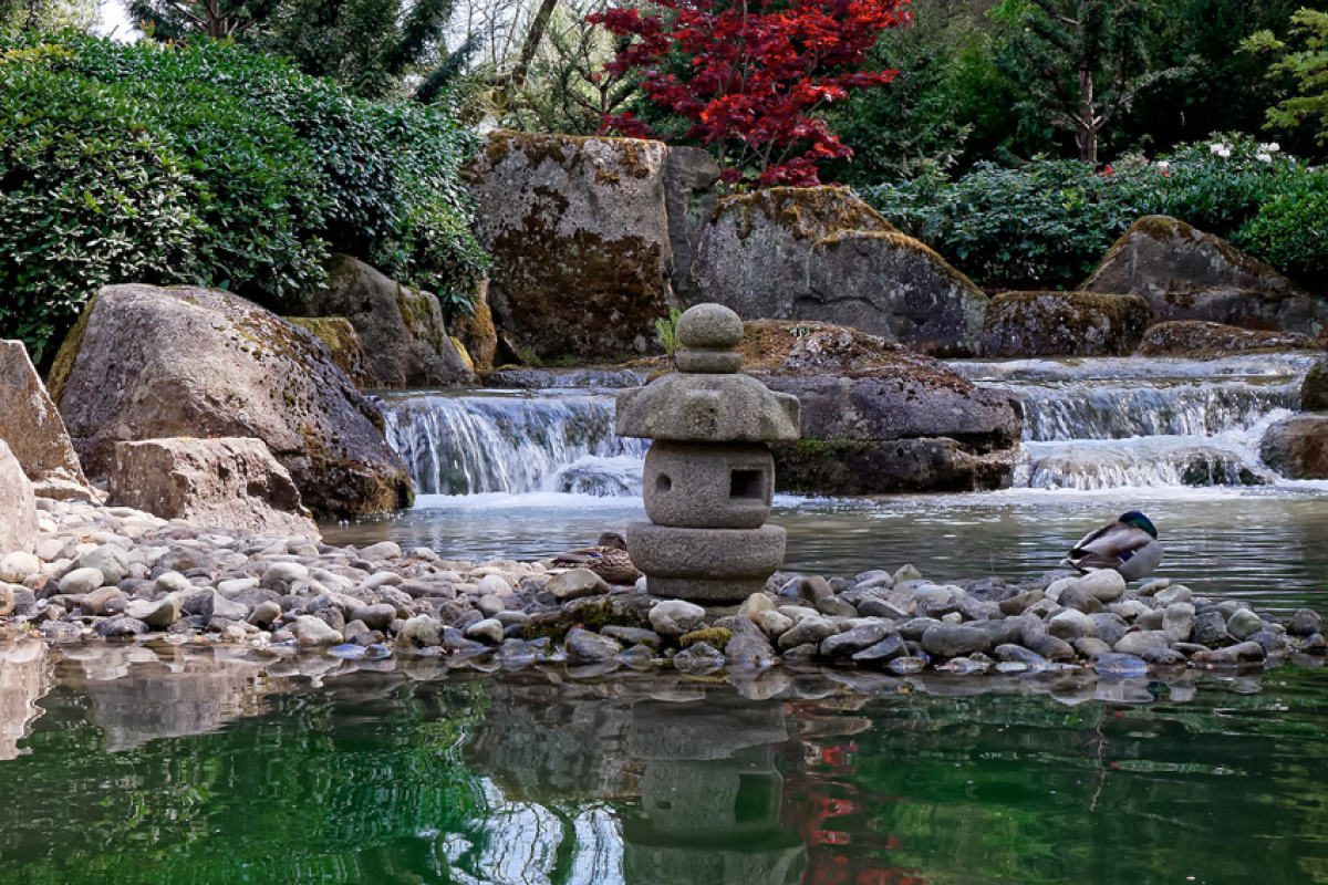 Japanischer Garten, Foto: "novofotoo", flickr, CC BY-NC 2.0