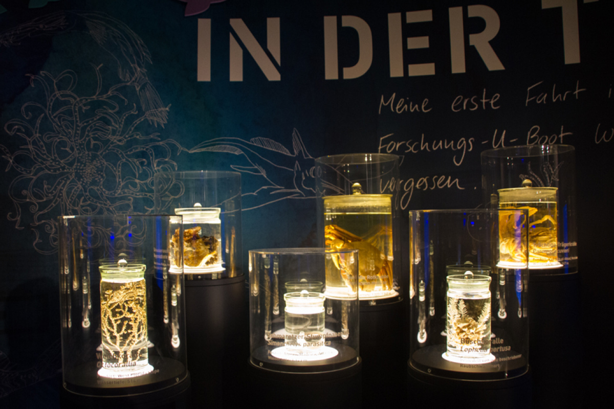 In der Ausstellung