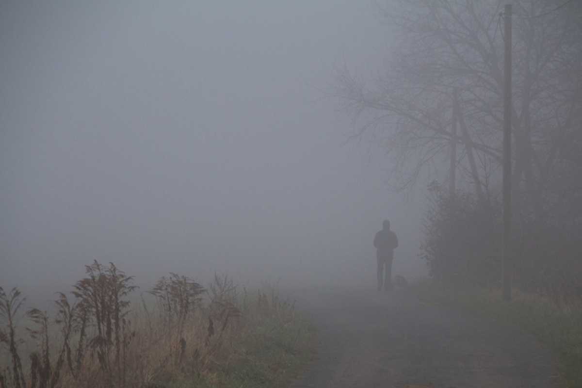 Nebel