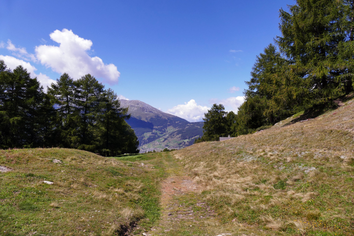 In den Schweizer Alpen