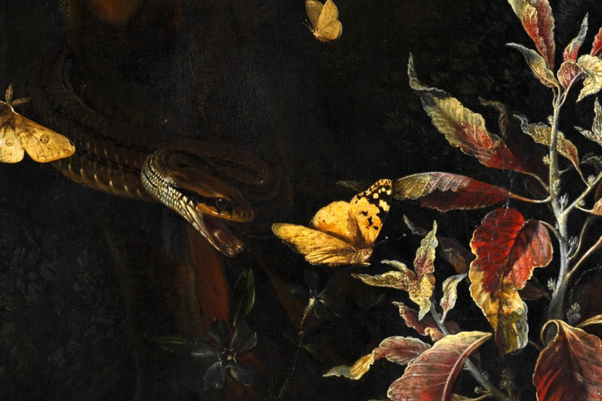 Otto-Marseus van Schrieck - Schmetterlinge und Blumen - 1675 - Detail