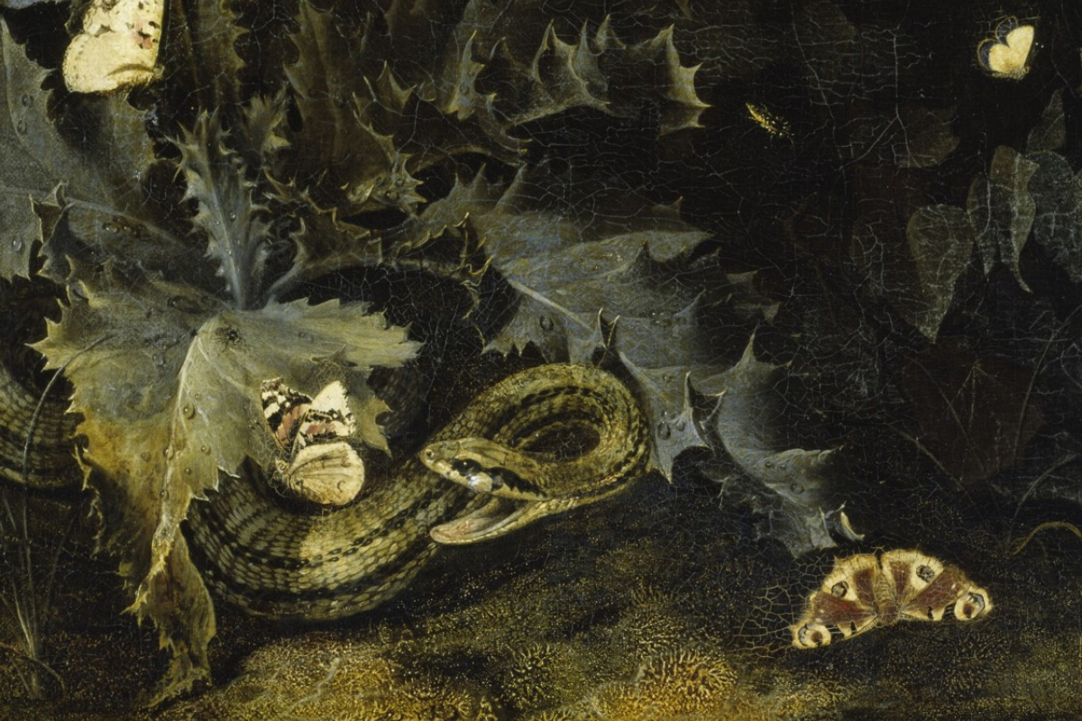 Otto Marseus van Schrieck - Waldboden mit Distel und Schlange