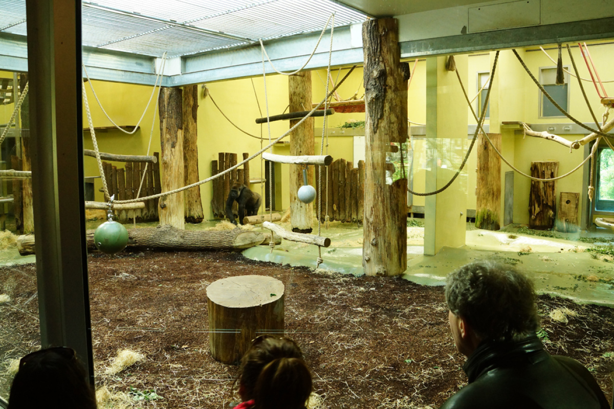 Im Zoo Berlin