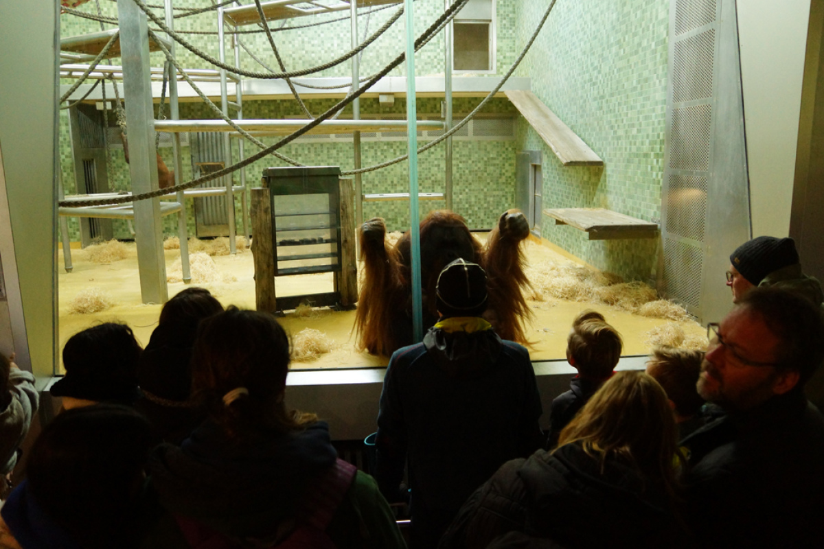 Im Zoo Berlin