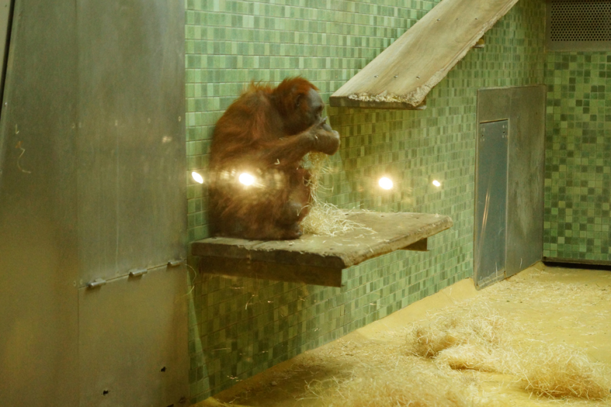 Im Zoo Berlin