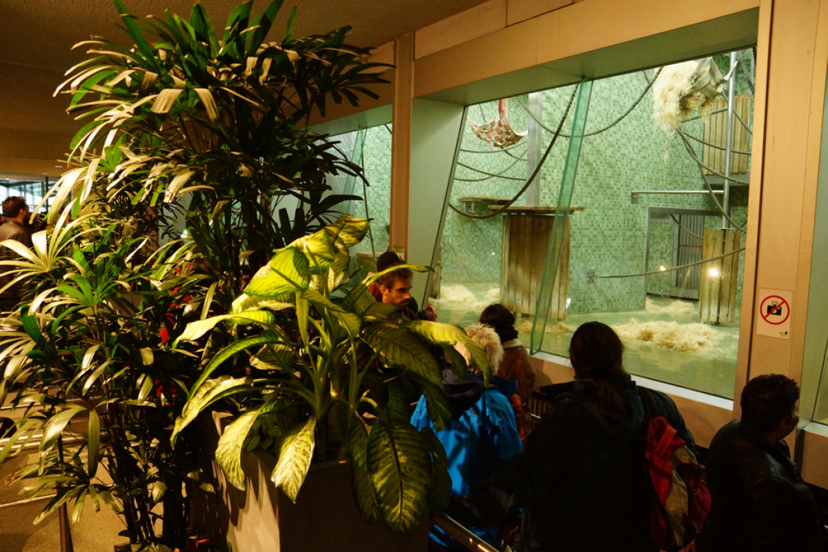 Im Zoo Berlin