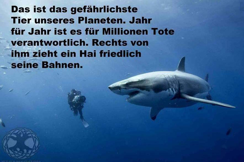 Das gefährlichste Tier der Welt
